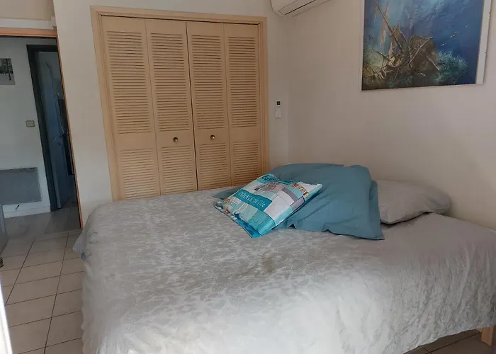 Home Tranquille Dans la Cité du Mimosa - 2 étoiles - Axelle Loc'Appart